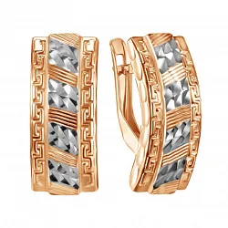 Серьги, Золото 585 Срг03-01